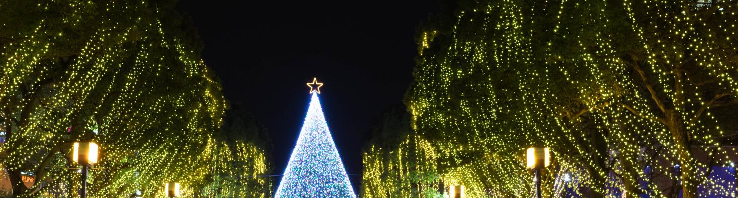 MARCHÉ DE NOËL EN CHAMPAGNE