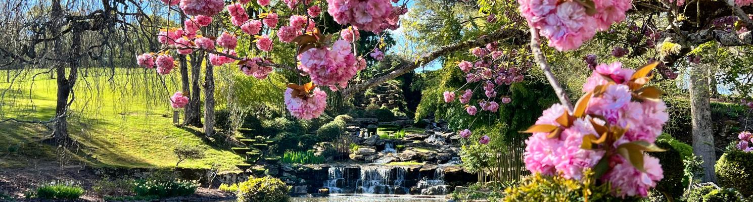 JOURNÉE DÉJEUNER-CROISIÈRE ET PARC FLORAL D&#039;APREMONT