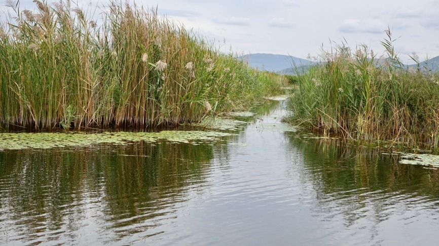 Delta de la Neretva 8