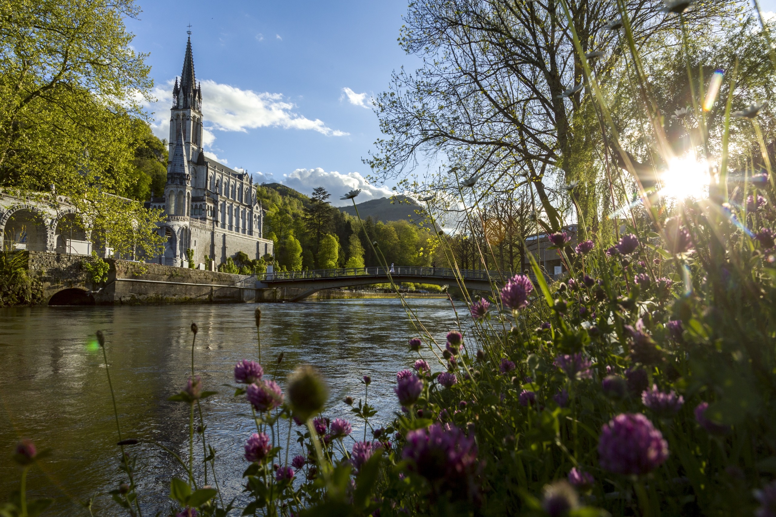 Sanctuaire_Basilique 2016 HD_1_©P.Vincent-OT Lourdes