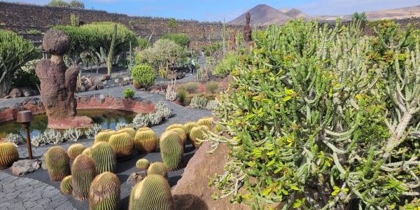 S&#201;JOUR AUX CANARIES &#192; LANZAROTE 4*