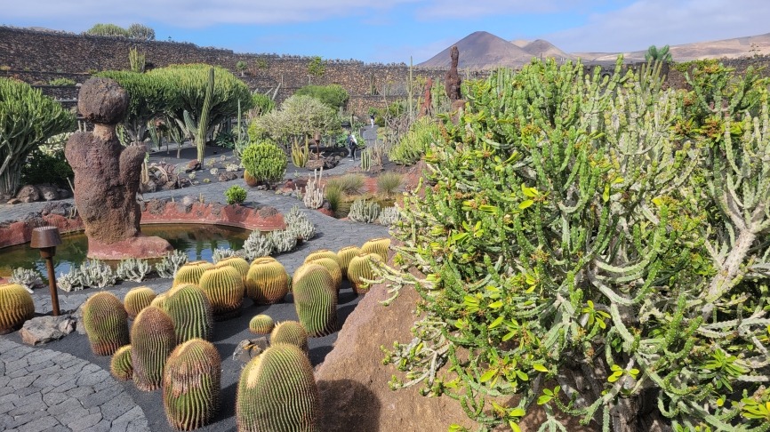 S&#201;JOUR AUX CANARIES &#192; LANZAROTE 4*