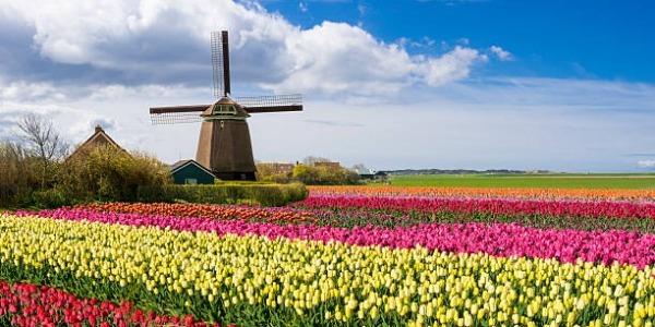 F&#202;TE DES FLEURS EN HOLLANDE, BELGIQUE