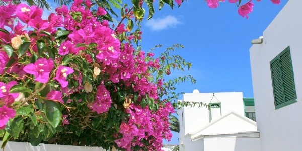 S&#201;JOUR AUX CANARIES &#192; LANZAROTE 3*